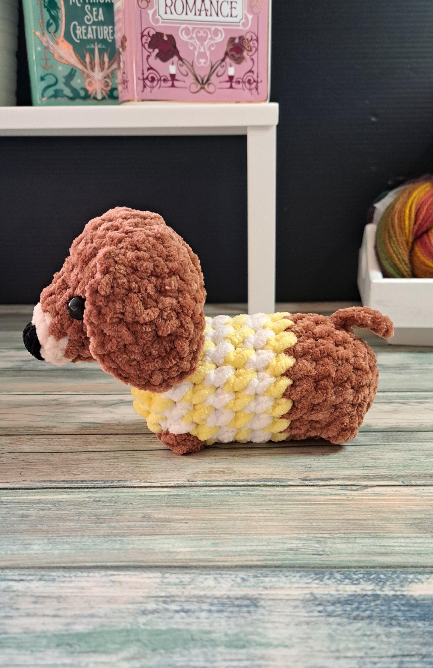 Dachshund dog